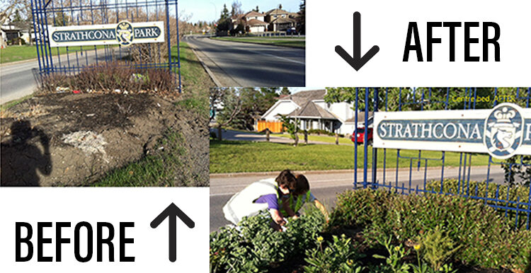 Strathcona Park Lane Garden and Community Entrance Revitalization and Management