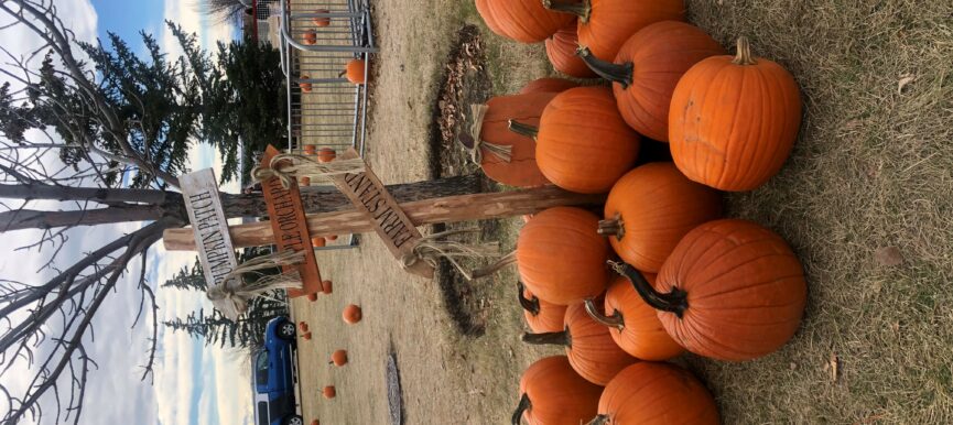 Scenic Acres Halloween Tricks ‘n’ Treats